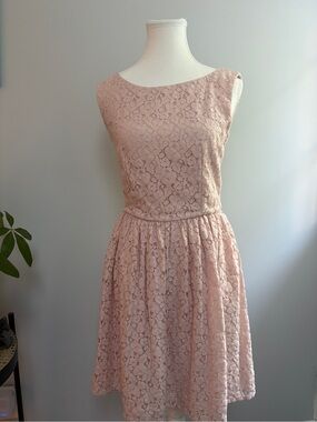 French Connection Lace Dress in Blush Pink